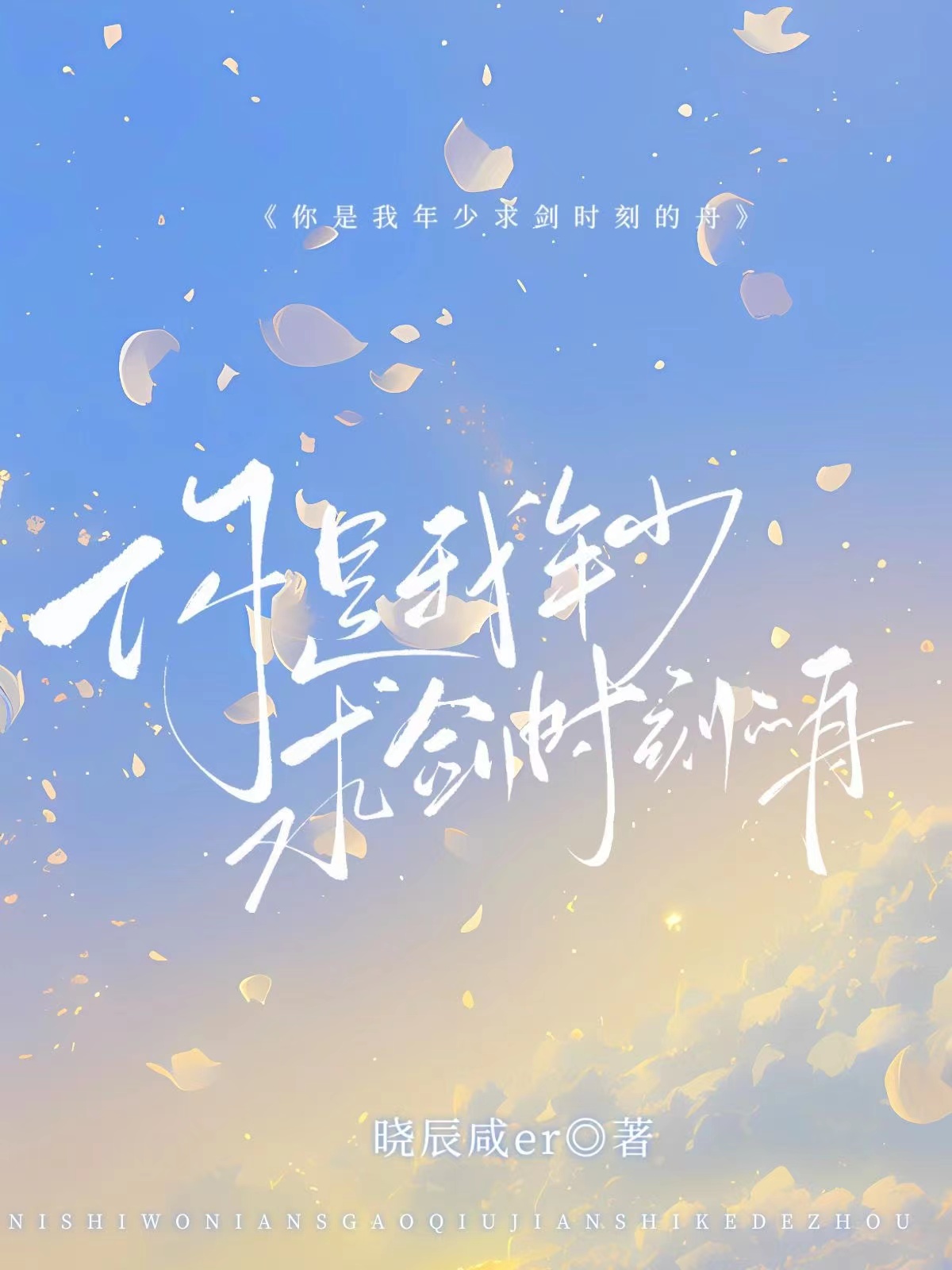 你是我年少求剑时刻的舟