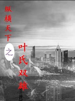 纵横天下之叶氏双雄