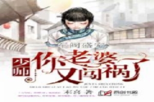 军阀盛宠：少帅，你老婆又闯祸了