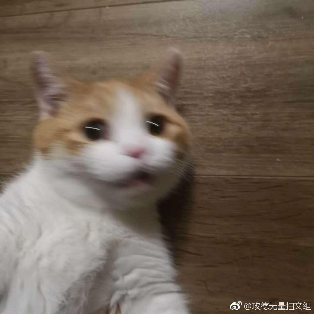 不露声色