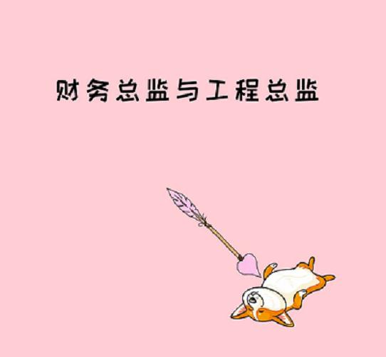 财务总监与工程总监