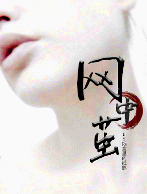 网中茧
