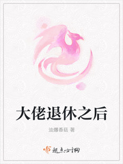 大佬退休之后