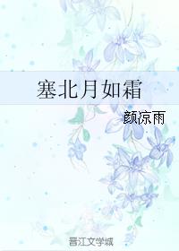 塞北月如霜